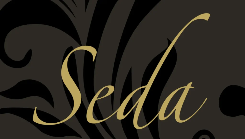 Logo Seda